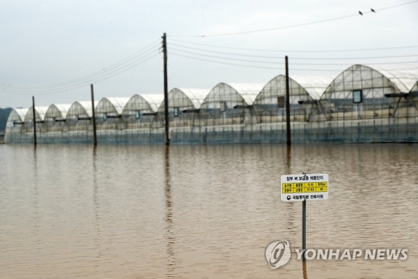 16일 전북 익산시 용안면 한 시설하우스 인근 논이 폭우로 물에 잠겨 있다. [사진=연합뉴스]