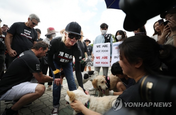 킴 베이싱어가 초복을 맞이해 국회 앞 개고기 식용 반대 시위에 참여했다. [사진 = 연합뉴스]